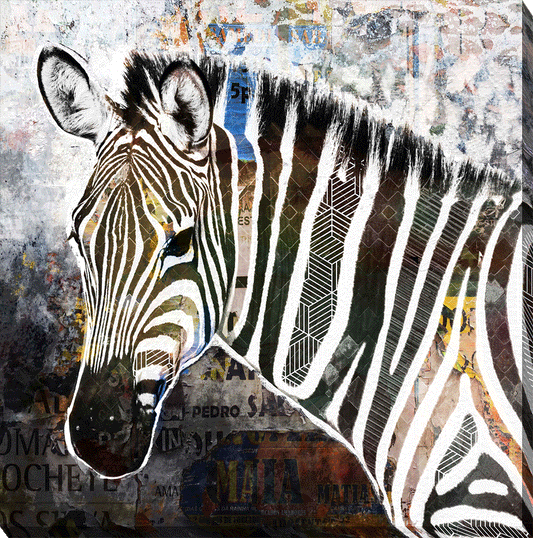 Pop Art Wildlife Canvas [Zebra]