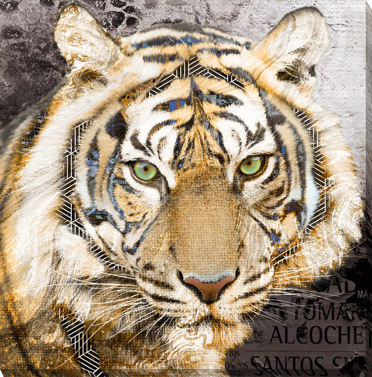 Pop Art Wildlife Canvas [Tiger]