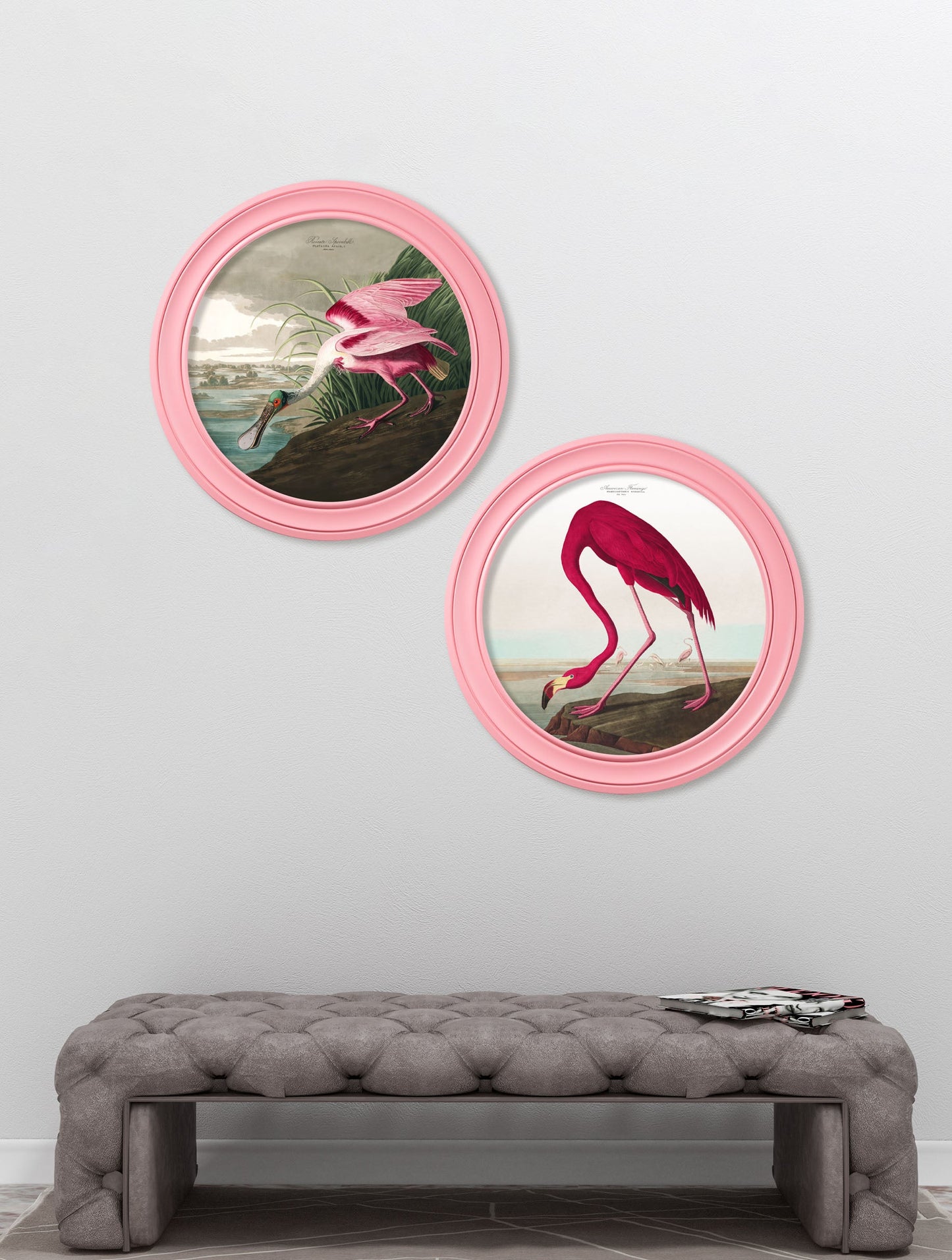 c.1838 Audubon's Spoonbill in Pink Frame